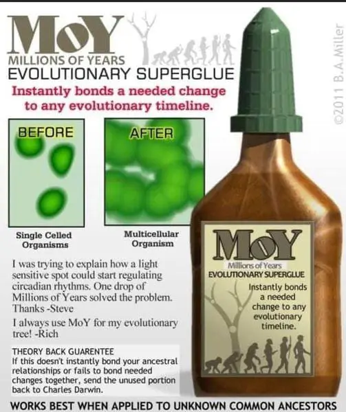 This is a comic image that's making fun of those evolutionists that believe millions of years. Image of a super glue bottle and the name is millions of years Super Glue for evolution.