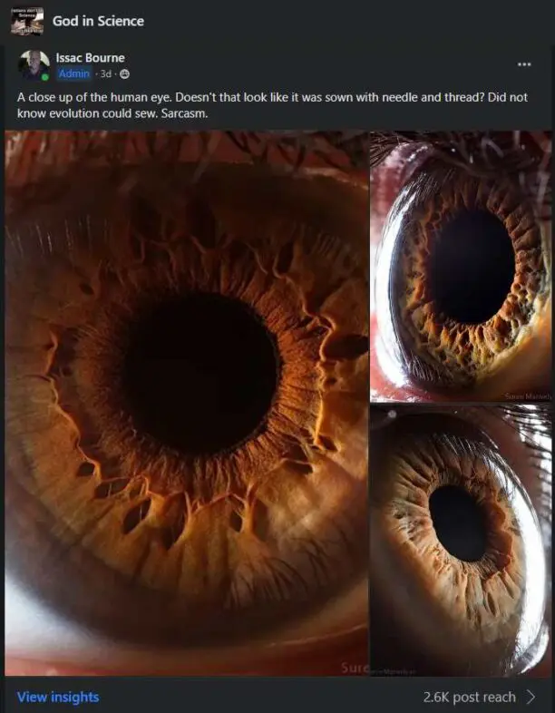 This image is a screenshot from the group God and science. It's a close up of the human eye that shows that the eye is very complex