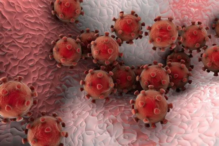 Image of virus.