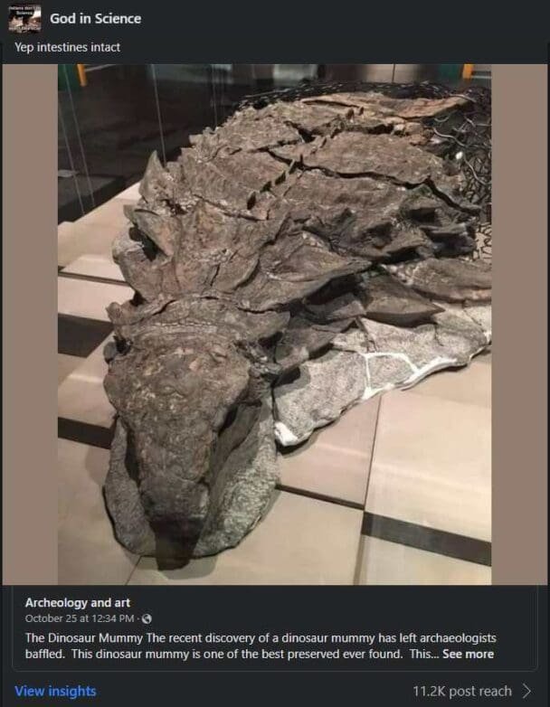 This is an image of a mummified dinosaur that has the innards intact. How can you preserve something in perfect condition for millions of years?