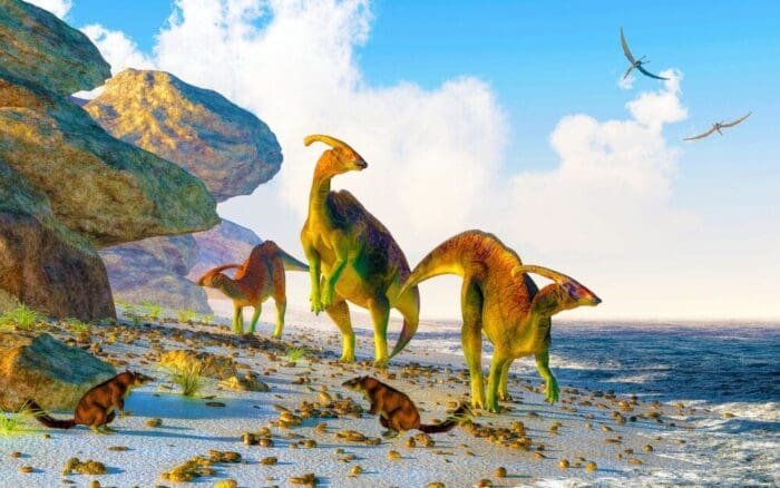Three,Parasaurolophus,Stand,On,A,Rock,Beach.,Pterasaurs,Fly,Over - YecHeadquarters Parasaurolophus