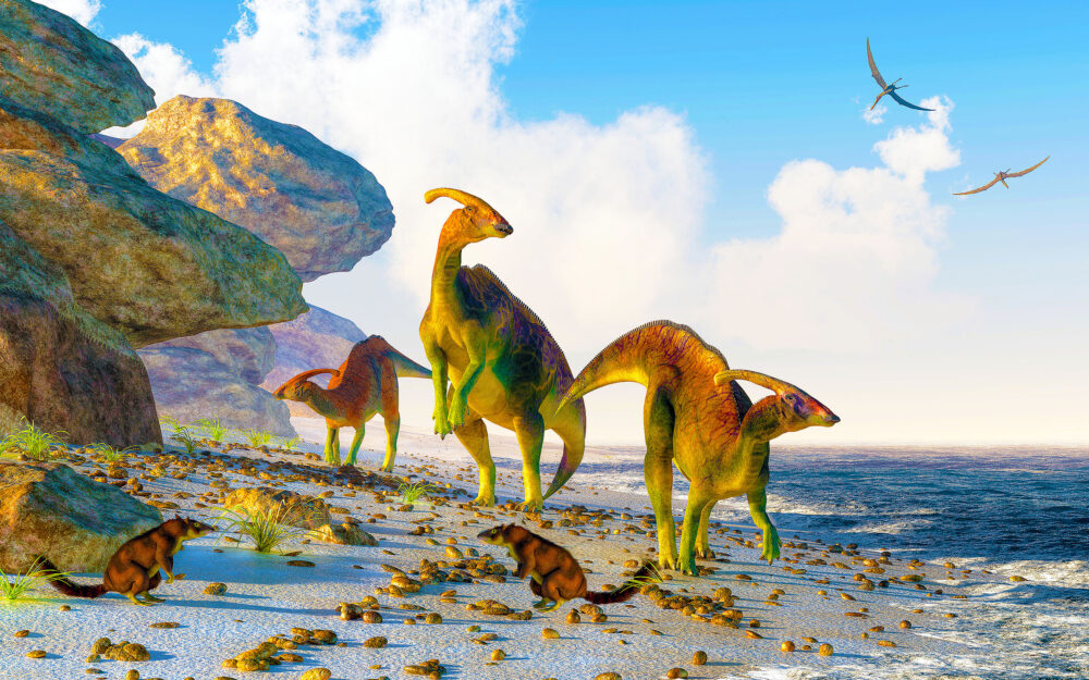 Three,parasaurolophus,stand,on,a,rock,beach.,pterasaurs,fly,over