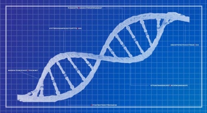 Image of a DNA strain.