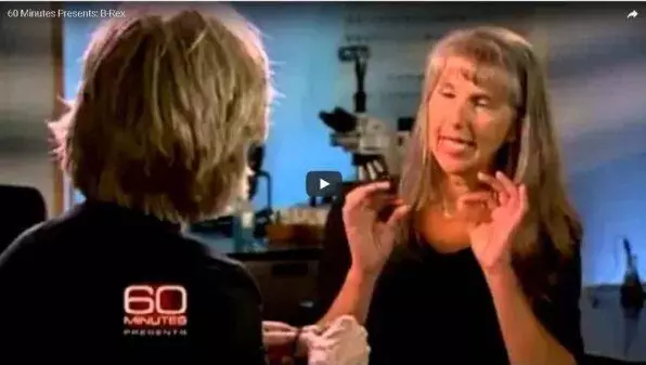 Blood and soft tissue find 60 minutes interview, click image to watch video.